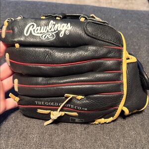 Rawlings Men's Glove in Black and Gold